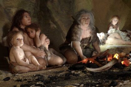 Gambaran artistik keluarga Neanderthal yang dipamerkan di Museum Neanderthal di Kroasia. Foto: Nikola Solic/Reuters