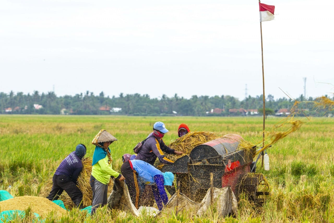 inovasi pertanian indonesia