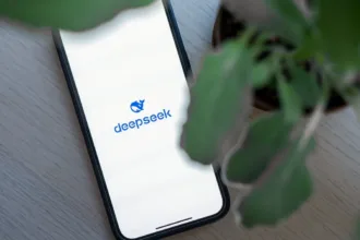 DeepSeek