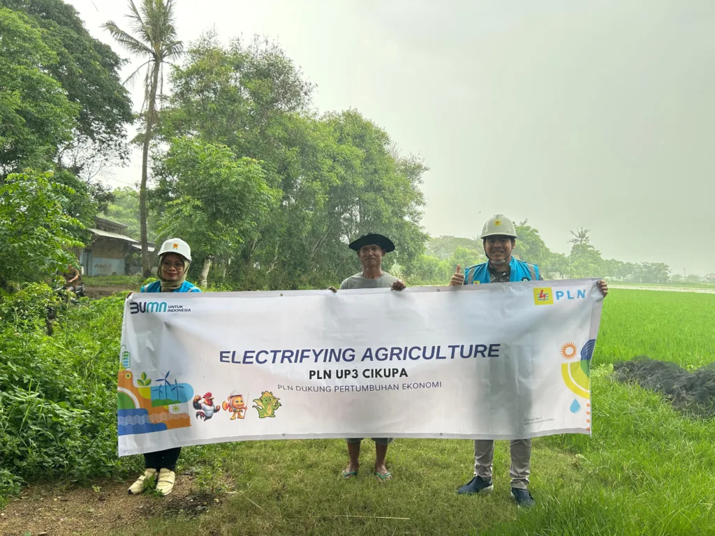 Program Electrifying Agriculture PLN.