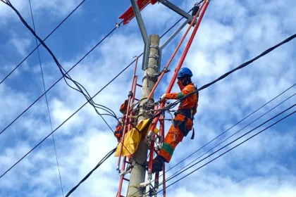 Tim PDKB merupakan tim khusus milik PLN yang bertugas untuk meningkatkan keandalan pasokan listrik dalam keadaan bertegangan sekalipun (tanpa padam).